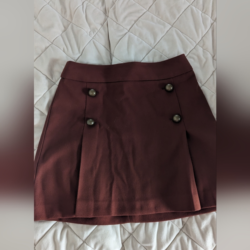 Express Brown Mini Skirt w/ Buttons